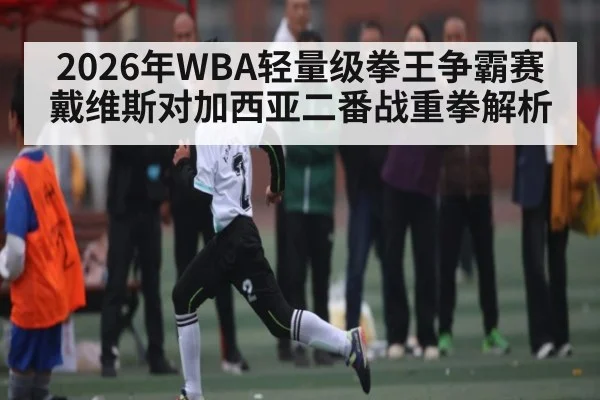 2026年WBA轻量级拳王争霸赛戴维斯对加西亚二番战重拳解析